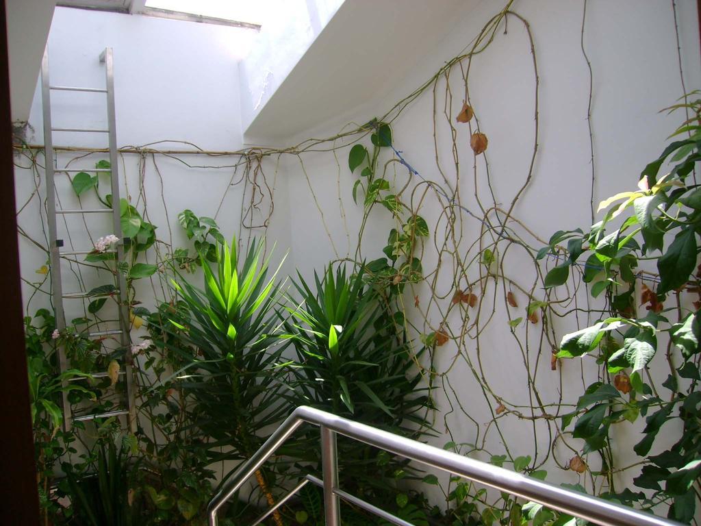 Residencial Moeda Hotel Coimbra Bagian luar foto