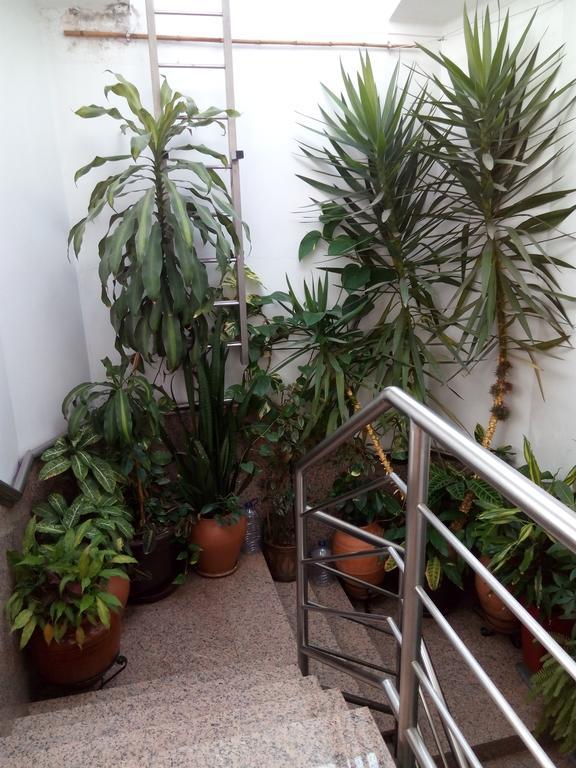 Residencial Moeda Hotel Coimbra Bagian luar foto