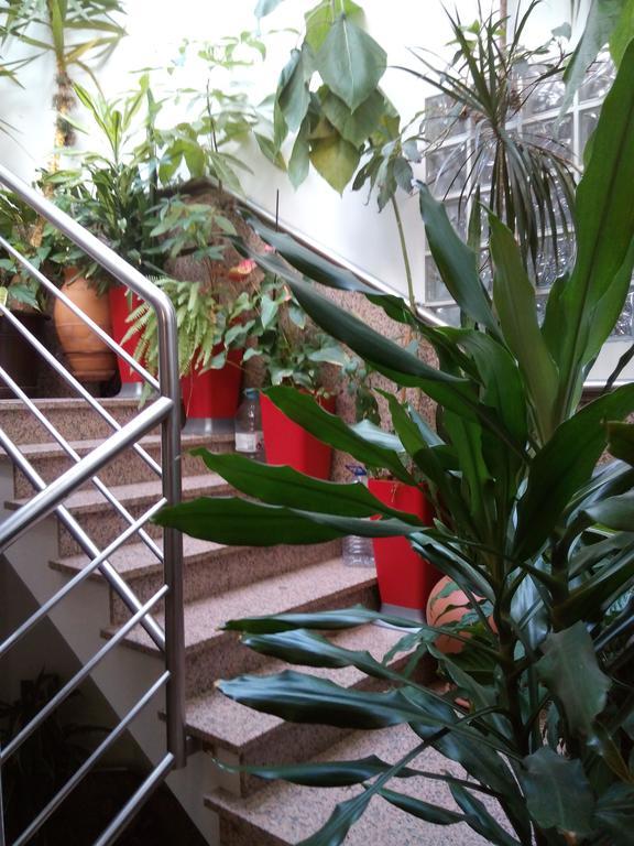 Residencial Moeda Hotel Coimbra Bagian luar foto